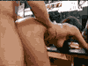 flick.gif (9301 bytes)